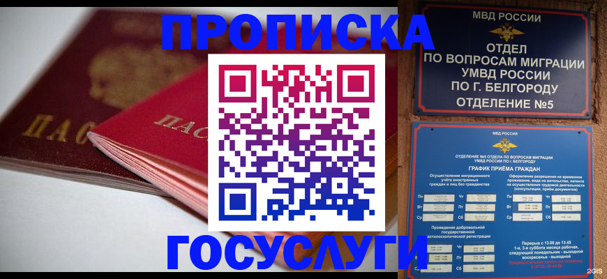 временная регистрация собственник в Владимире